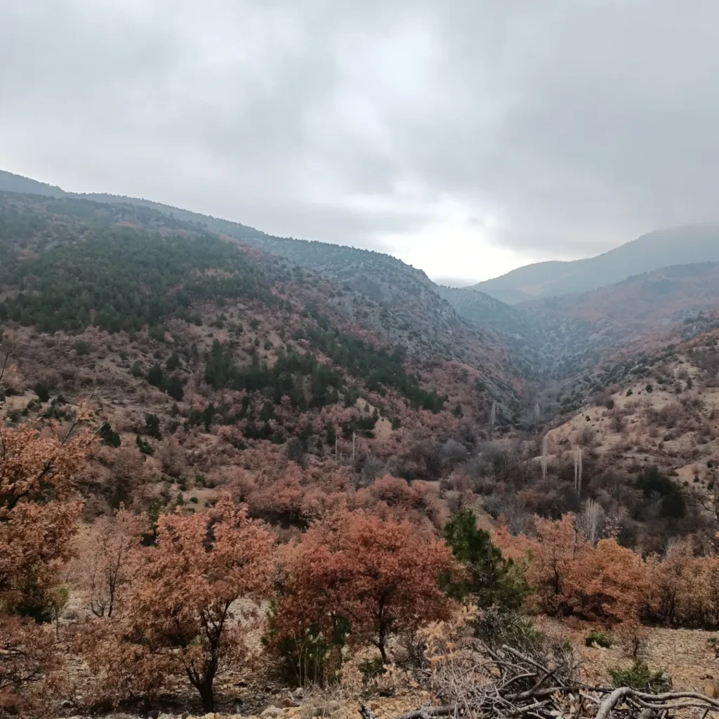 Gürleyik'e tırmanırken aldığım bir kare